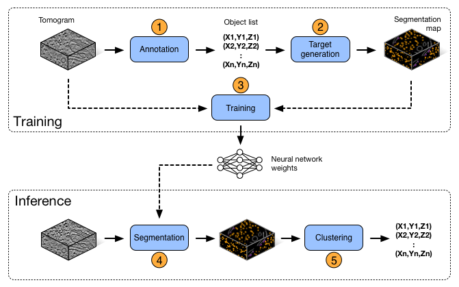 _images/deepfinder_workflow.png